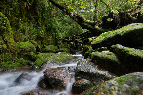 Kagoshima en japón 5
