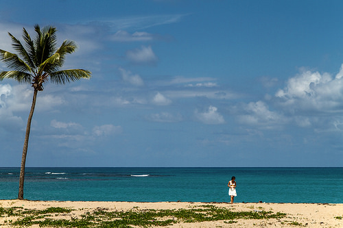 Playas de Samana 6