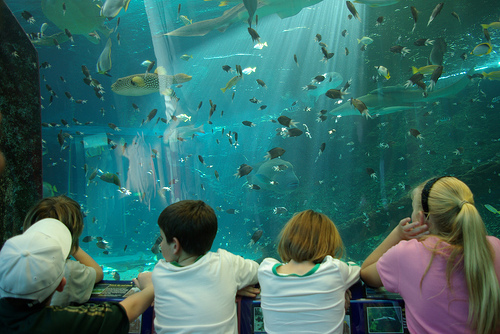 townsville en australia 6