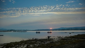 La isla de la Toja en España, todo un paraíso natural