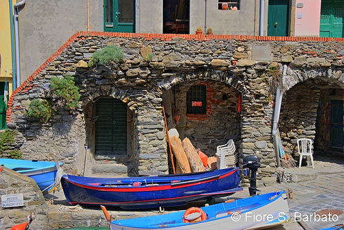 Autor: Fiore Silvestro Barbato