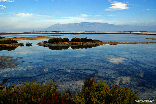 Autor: Juan Mercader Seguir