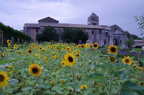 Saint-Rémy de Provence en Francia, el lugar idílico que unió a Nostradamus y Van Gogh