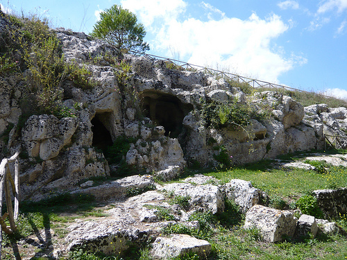 Autor: Christine McIntosh