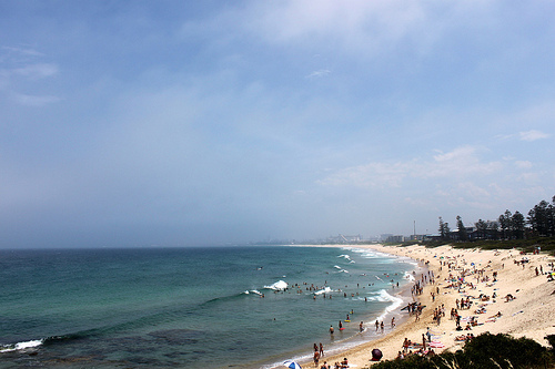 Wollongong 6