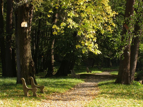 Autor: Daniel Baránek