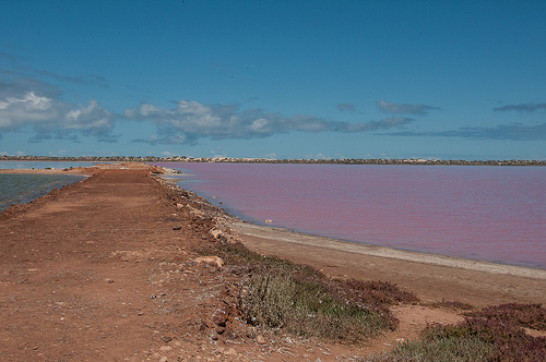 Autor: Graeme Churchard