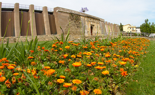 Autor: Dennis van Zuijlekom