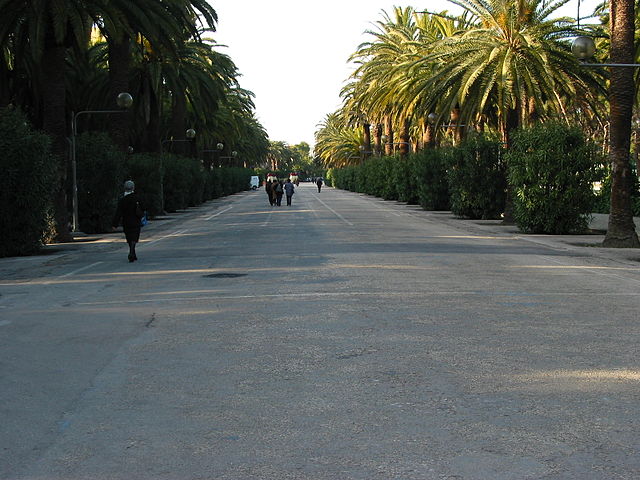 Autor: Peter Forster