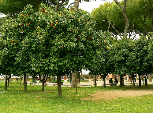 Autor: Matteo