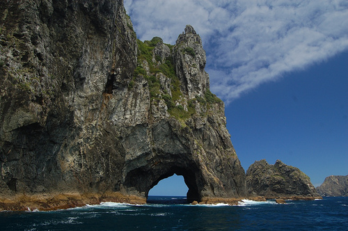 Paihia 4