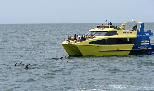 Paihia 5
