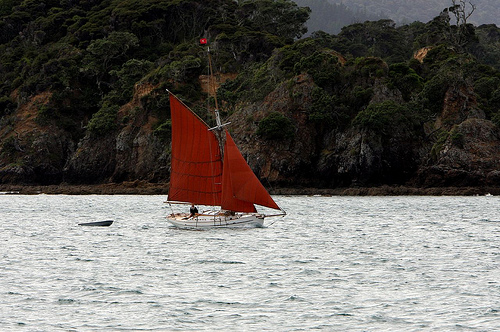 Paihia 7