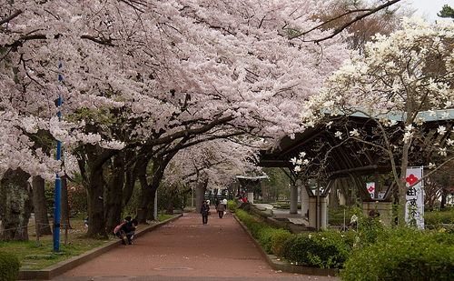 Sendai 2