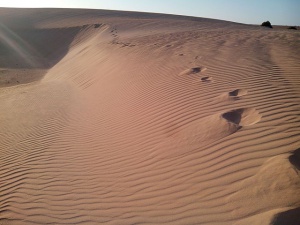 Las playas de las Dunas de Corralejo de Fuerteventura en las islas Canarias, unas de las más bonitas del mundo