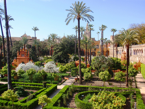 Autor: Armando Reques