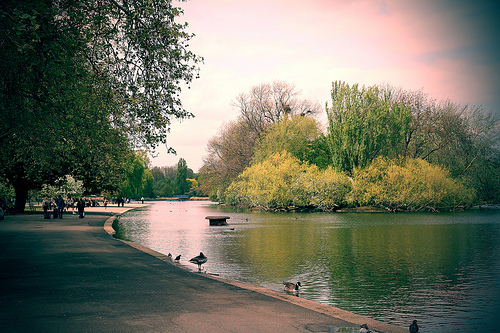 Regent's Park de Londres, un parque real para disfrutar y relajarte