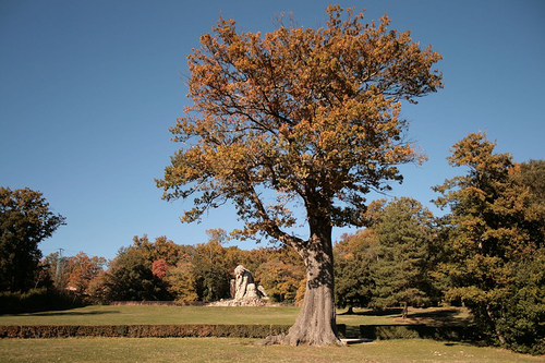 Autor: Diego Mallardo