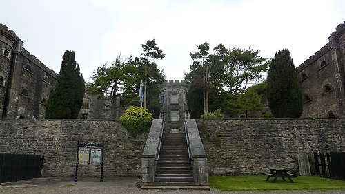Cork 6
