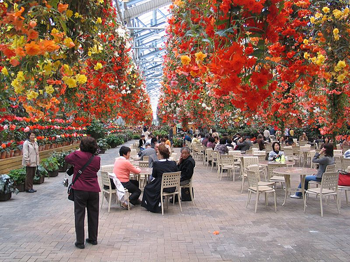 Autor: Rudolf Ammann