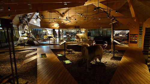 Svalbard 5