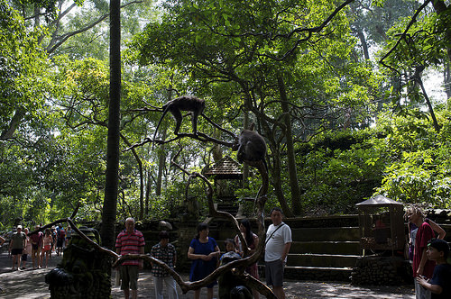 Ubud 4