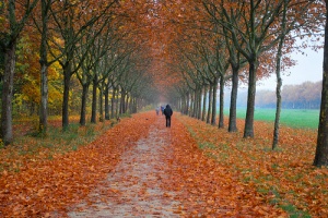 ¿Conoces el Bois de Vincennes en París?