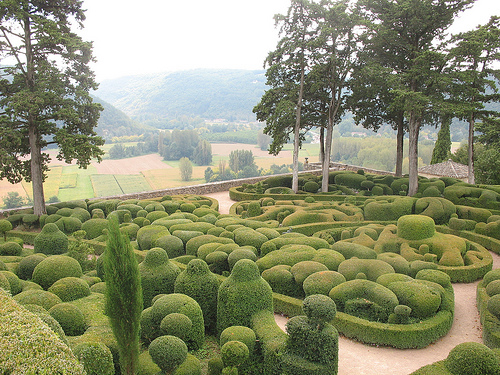 Autor: Esther Westerveld