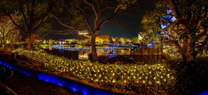 Nagashima en Japón, disfruta con nosotros de la fiesta de las luces
