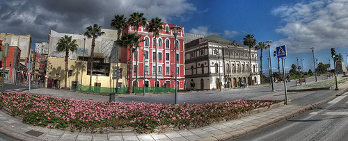Canaria 3