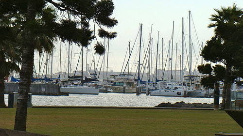 Geelong 3