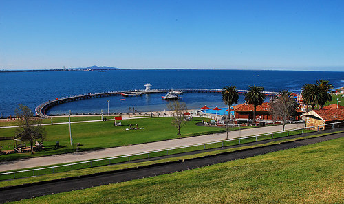Geelong 5