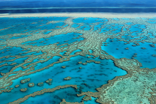 Admiremos el encanto de la Gran Barrera de Coral de Australia