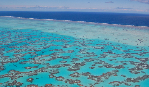 Gran Barrera de Coral 2