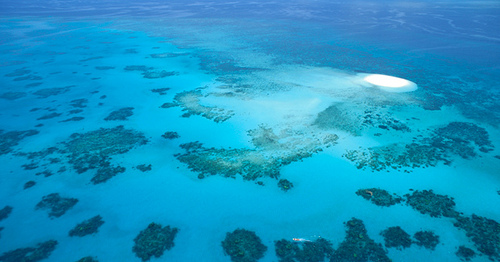 Gran Barrera de Coral 3