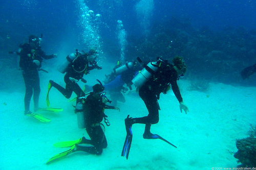 Gran Barrera de Coral 5