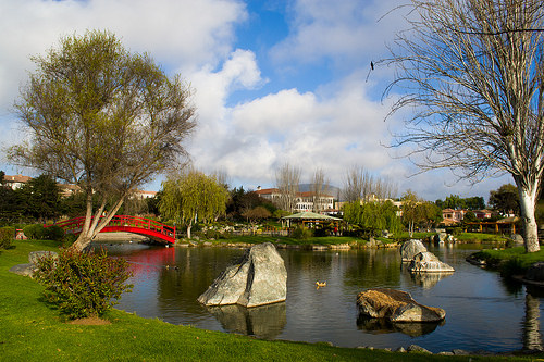 La Serena 4