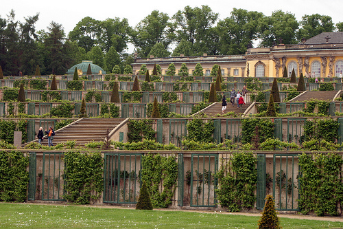Sanssouci 6