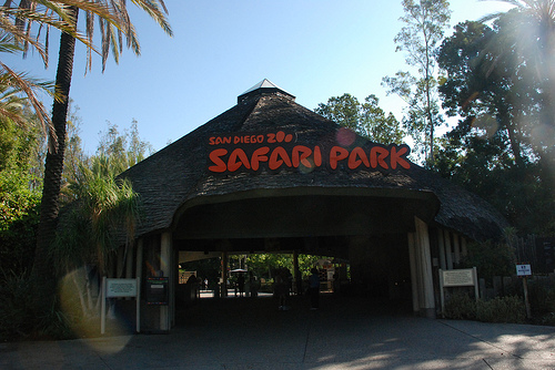 parques de San Diego 7