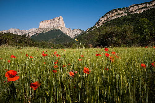 Autor: Brigitte Djajasasmita