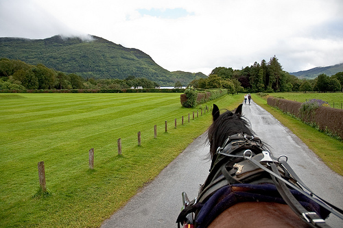Killarney 5