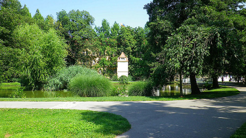 Maribor 6