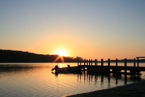 Autor: Mitch Donovan