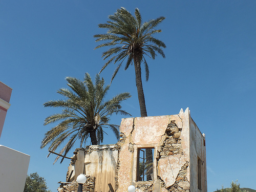 Autor: maurizio jaya costantino