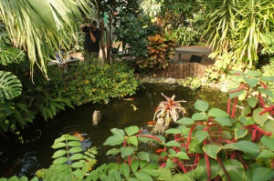 Los espectaculares Jardines de las Mariposas en Victoria, Canadá