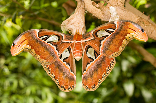 Autor: Andy Langager