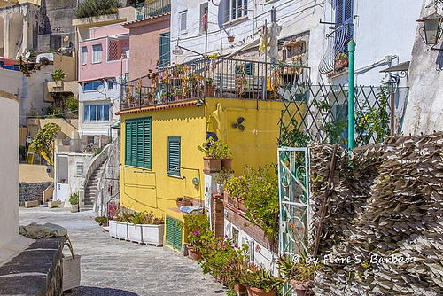 Autor: Fiore S. Barbato