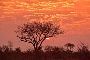 ¿Conoces los destinos más salvajes del planeta?