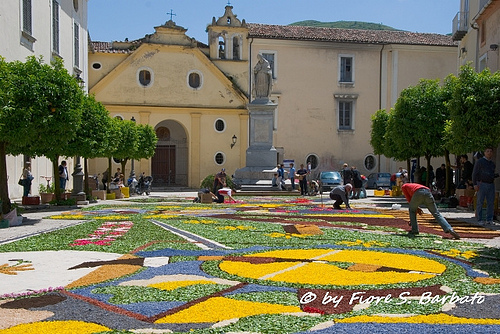 Autor: Fiore S. Barbato