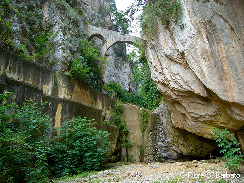 Autor: Fiore S. Barbato